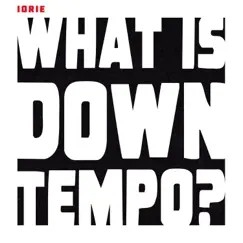 What is Downtempo? (Club Mix) Song Lyrics