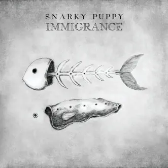 Download Bad Kids to the Back Snarky Puppy MP3