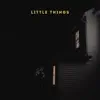 Little Things - Single album lyrics, reviews, download