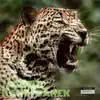 Jaguar - Single album lyrics, reviews, download