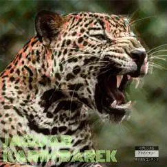 Jaguar - Single by Karim Barek album reviews, ratings, credits