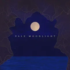 Pale Moonlight Song Lyrics