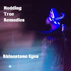 Rhinestone Eyes by Nodding Tree Remedies album reviews, ratings, credits
