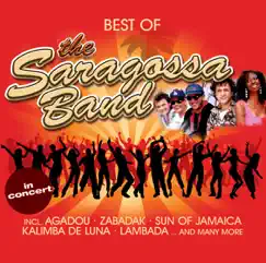 Saragossa Theme 4 (Let's Have a Party With Saragossa Band) Song Lyrics