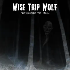 Nowhere to Run - Single by Wise Trip Wolf album reviews, ratings, credits