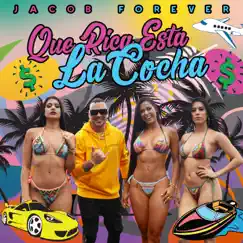 Que Rica Esta la Cocha - Single by Jacob Forever album reviews, ratings, credits