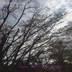 Gone With the Wind (feat. Kale Chips) - Single by Washerman83 album reviews, ratings, credits