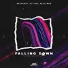 Falling Down - Single album lyrics, reviews, download