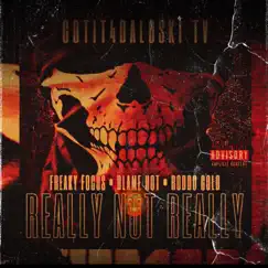 Really Not Really (feat. Freaky Focus, Roddo Gold & Blame Hot) Song Lyrics