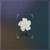 샤론의 꽃 예수 - Single album lyrics, reviews, download