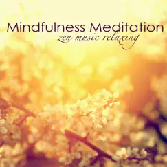 Mindfulness Meditation Song Lyrics
