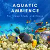 Aquatic Ambience album lyrics, reviews, download