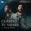 Cuando Tu Vienes (feat. Marcos Brunet) - Single album lyrics, reviews, download