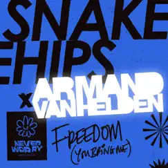 Freedom (You Bring Me) - Single by Snakehips & Armand Van Helden album reviews, ratings, credits