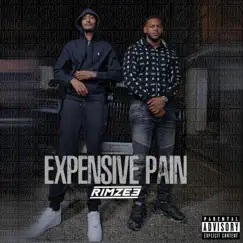 Expensive Pain (feat. Born Trappy) - Single by Rimzee album reviews, ratings, credits
