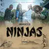 Ninjaz - Single album lyrics, reviews, download