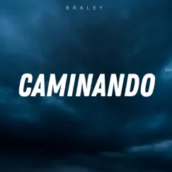 Caminando (Live) Song Lyrics