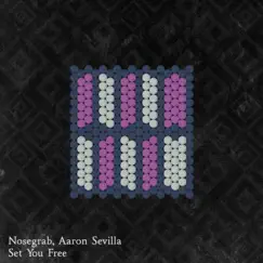Set You Free - Single by Nosegrab & Aaron Sevilla album reviews, ratings, credits