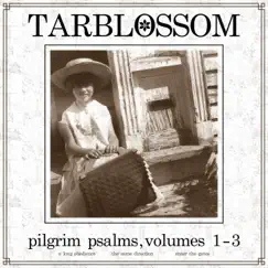 Pilgrim Psalms, Vol. 1-3: A Long Obedience; the Same Direction; Enter the Gates by Tarblossom album reviews, ratings, credits