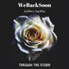 WebackSoon (Through the Storm) - Single album lyrics, reviews, download