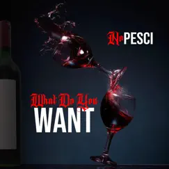 What Do You Want (feat. A.M.A Musiek) - Single by No Pesci album reviews, ratings, credits