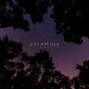 Dreaming - Single album lyrics, reviews, download