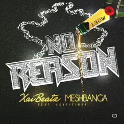 No Reason (feat. #GetitIndy) - Single by Xai Beats & Mesh Banga album reviews, ratings, credits