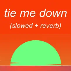 Tie Me Down (Slowed + Reverb) Song Lyrics