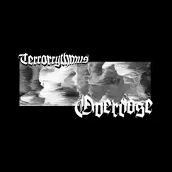 Overdose - EP by Terrorrythmus album reviews, ratings, credits