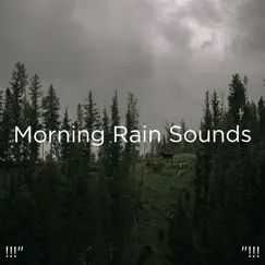 Rain for Sleeping Song Lyrics