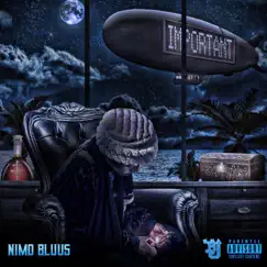 Important - Single by NiMo Bluus album reviews, ratings, credits