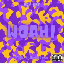 Woah! - Single by Zay Ace album reviews, ratings, credits