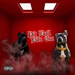 Pit Bull Bite 'Em (Radio) Song Lyrics