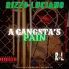 A Gangsta's Pain (Freestyle Olympics 2) - Single album lyrics, reviews, download