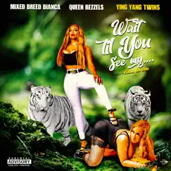 Wait Til You See My (feat. Ying Yang Twins & Queen Bezzels) - Single by Mixed Breed Bianca album reviews, ratings, credits
