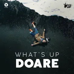 Doare - Single by What's Up album reviews, ratings, credits