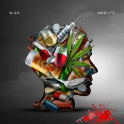 Wild Life (Remix) Song Lyrics