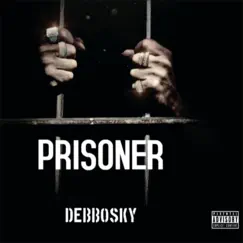 Prisoner - Single by Debbosky album reviews, ratings, credits