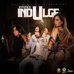 Indulge - Single by Intence album reviews, ratings, credits