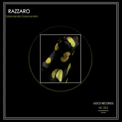 Salamandra Salamandra - Single by Razzaro album reviews, ratings, credits