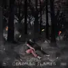 Deadman Flames album lyrics, reviews, download