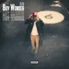 Boy Wonder - Single album lyrics, reviews, download