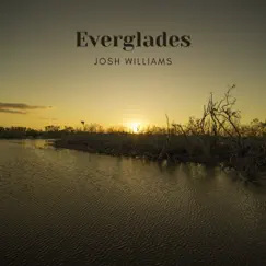 Everglades - Single by Josh Williams album reviews, ratings, credits