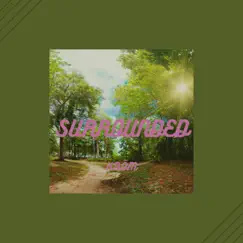 Surrounded (feat. Hotel Lofi) - Single by Kröm album reviews, ratings, credits