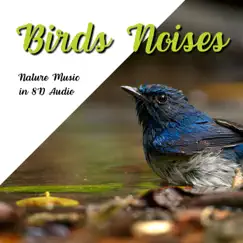 Birds Noises, Nature Music in 8D Audio by NA Namaste album reviews, ratings, credits