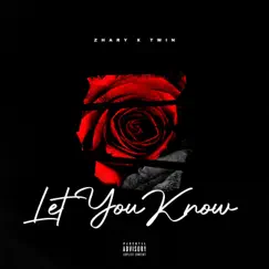 Let You Know (feat. TwinLaden) Song Lyrics