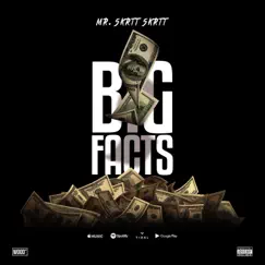 Big Facts - Single by Mr Skrtt album reviews, ratings, credits