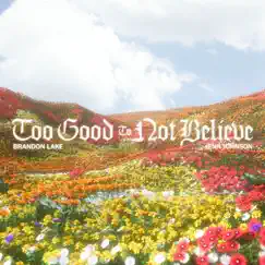 Too Good To Not Believe (Radio Version) - Single by Brandon Lake & Jenn Johnson album reviews, ratings, credits