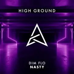 NASTY - Single by DIM FLO album reviews, ratings, credits