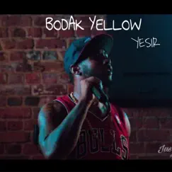 Bodak Yellow - Single by Yesir album reviews, ratings, credits